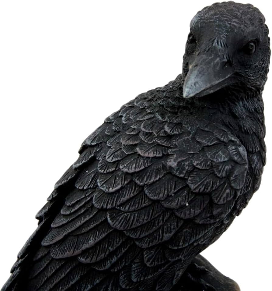 Amazon.com: Pacific Giftware Dark Raven Crow Perched On Tree Stump